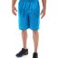 msh09-blue_main.jpg
